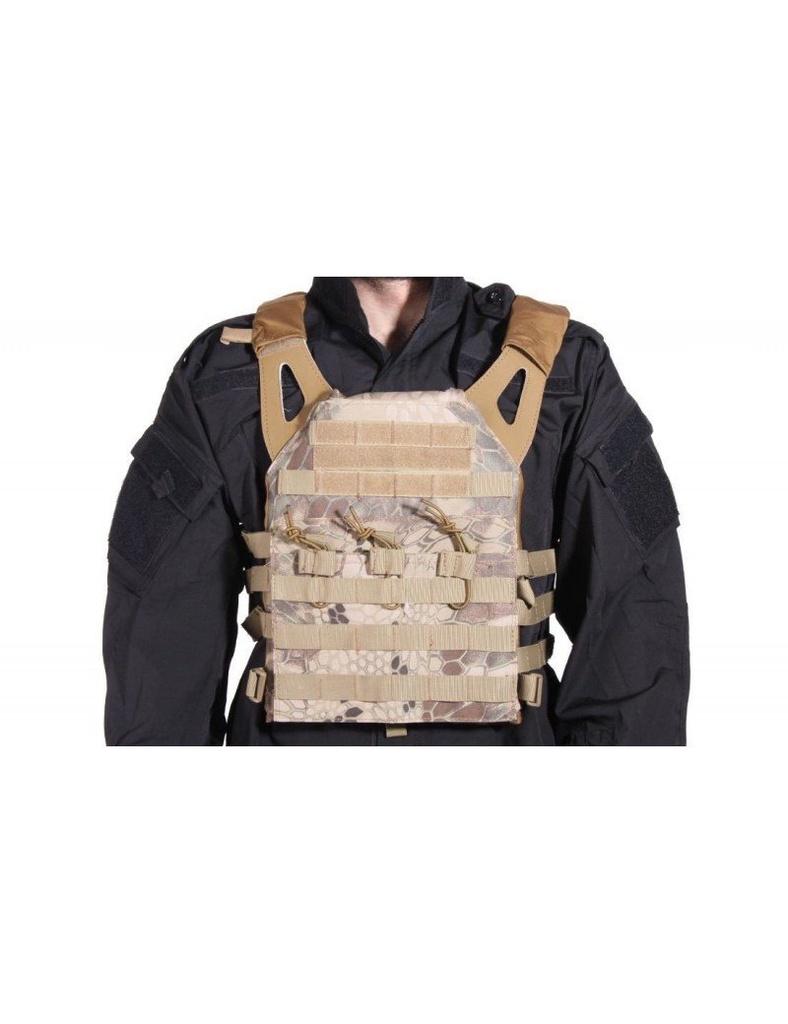 CHALECO PLATE CARRIER CRIPTEC ARENA DELTA TACTICS V18 + 2 PLACAS DE PORTECCIÓN DUMMY