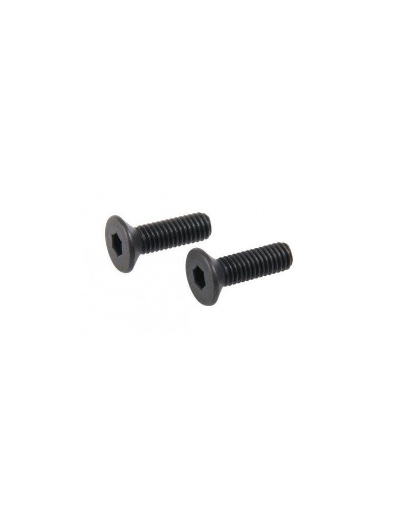 TORNILLOS PARA RMR GLADIUS MAGNA