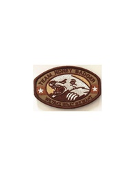 [B10A-0709] PARCHE TEAM NONEY BADGER S11