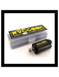 [D5B-2532] MOTOR RACCOON HIGH PERFOMANCE SHORT AXIS RM002